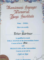 Yoga Asanas of the Intermediate Senior Course Level One - Peter Gärtner